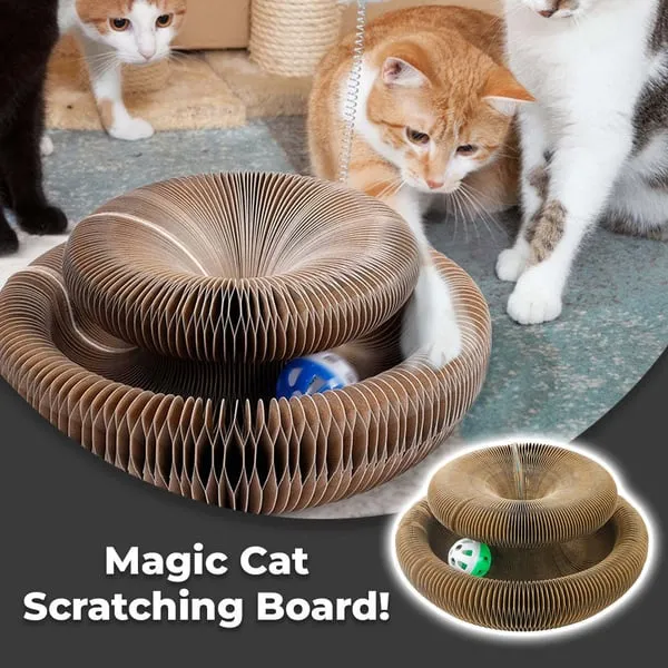 🔥Magic Cat Scratching Board